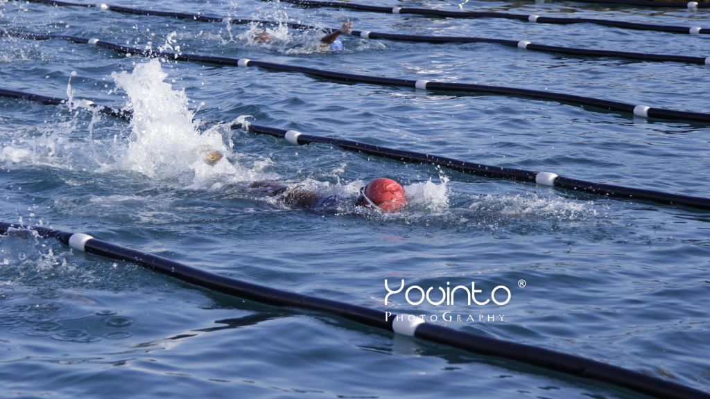 Makita 15th Swimming Association Championship 2017